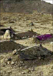 Neu einegrtroffen Thomas Ruff