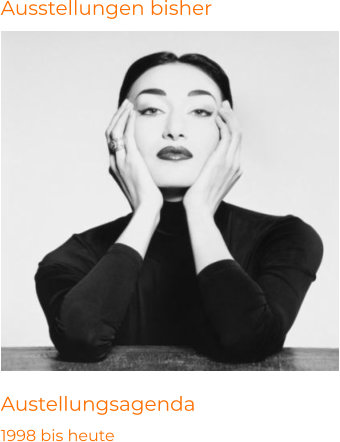 Ausstelungen Norbert Nieser